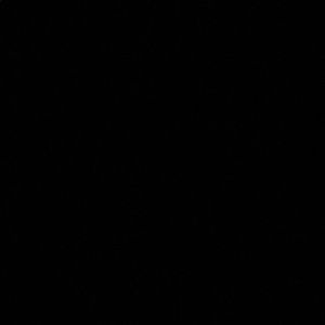 Meet your Posher, Lauryn